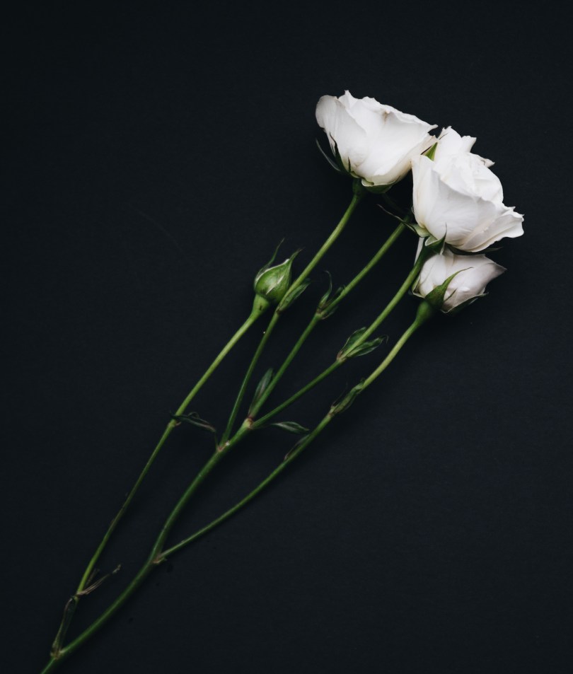 Photo by Nathan Dumlao on Unsplash